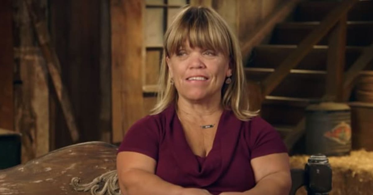 What Happened To The Family From 'Little People, Big World'?