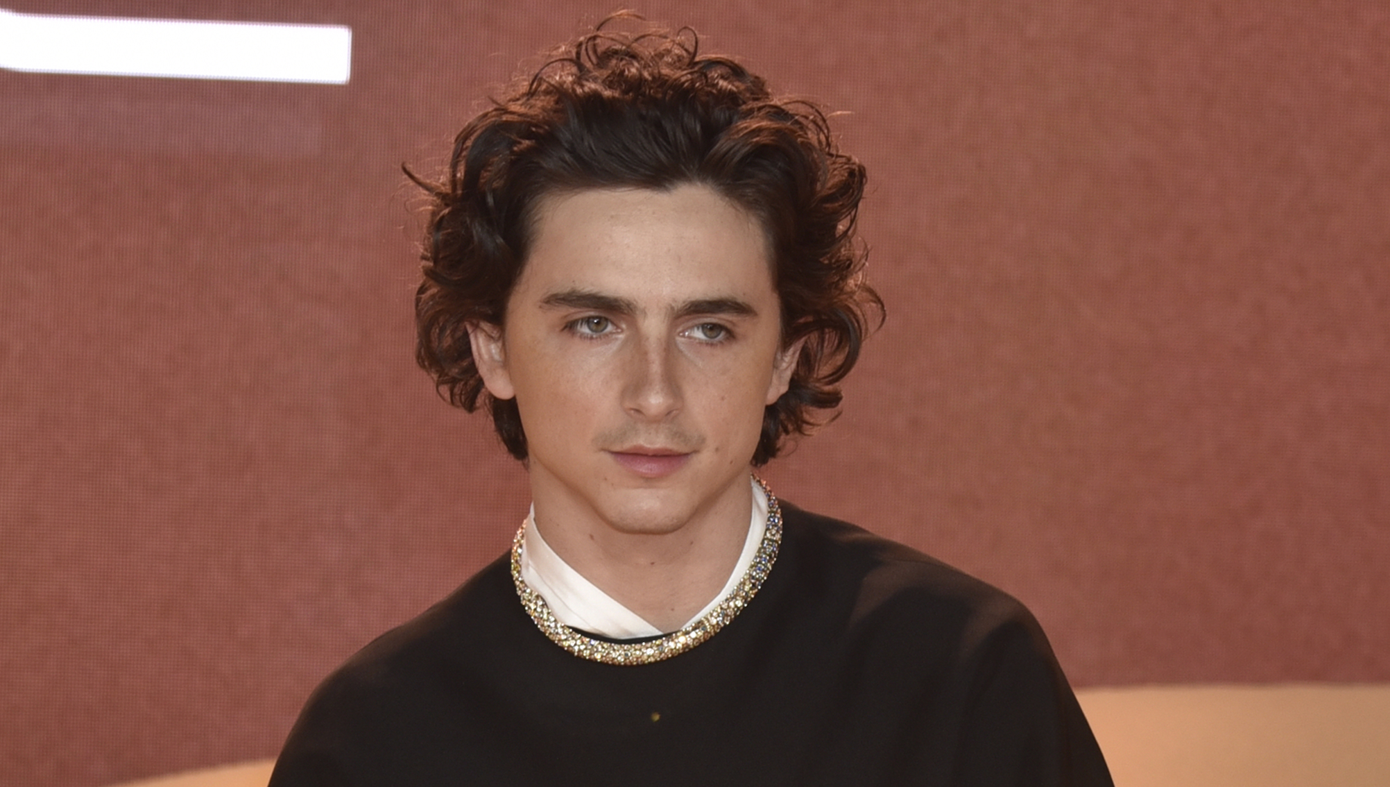 Timothee Chalamet 