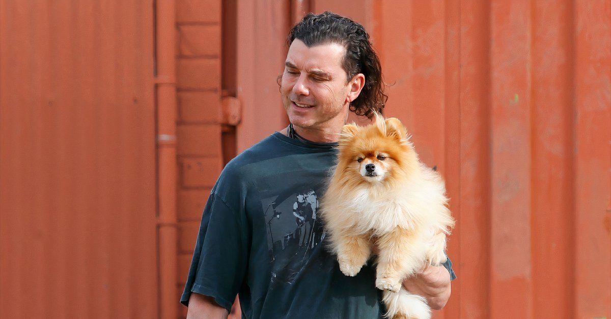 Gavin Rossdale carrying his dog