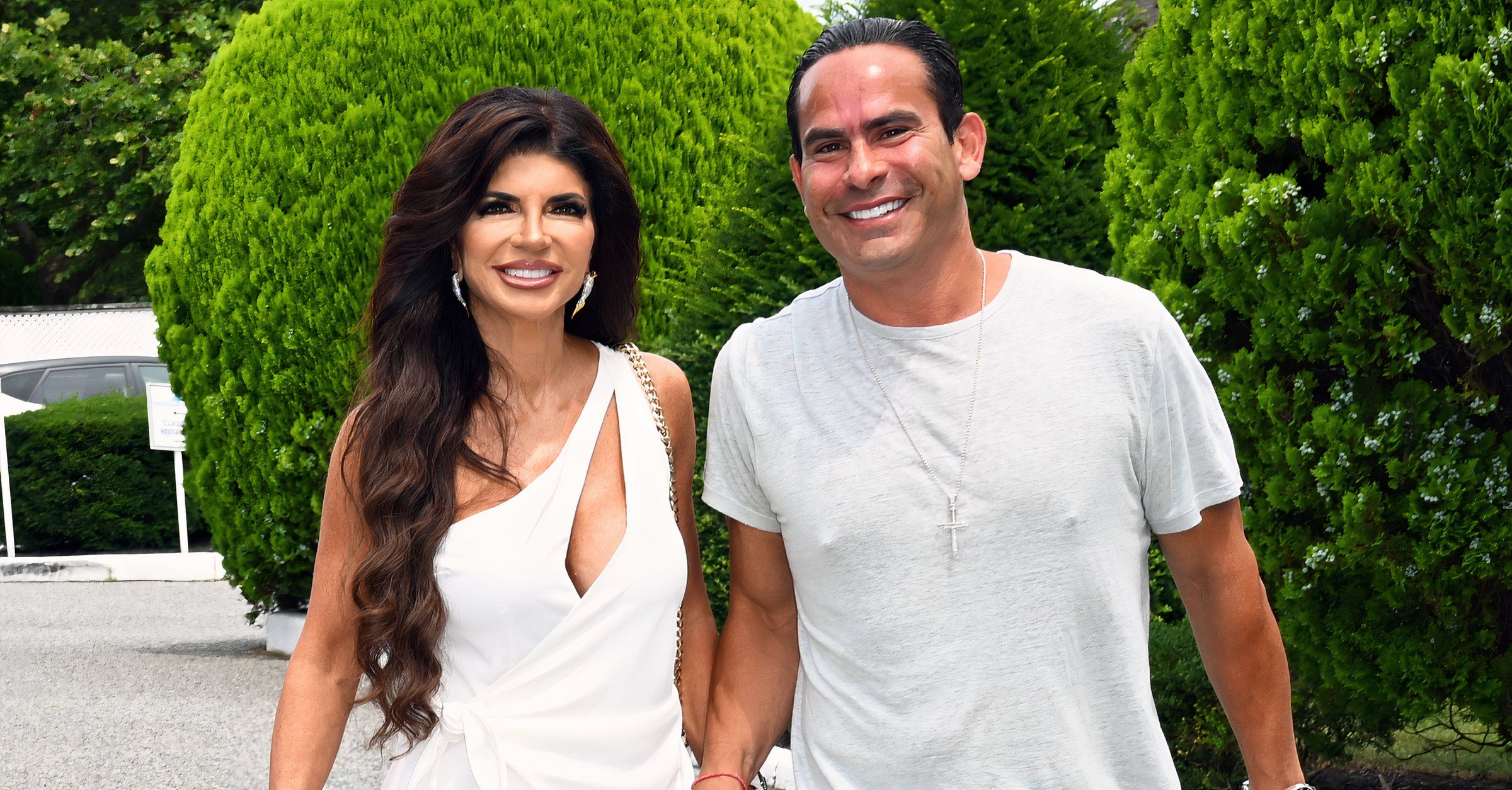 Teresa Giudice, Luis Ruelas