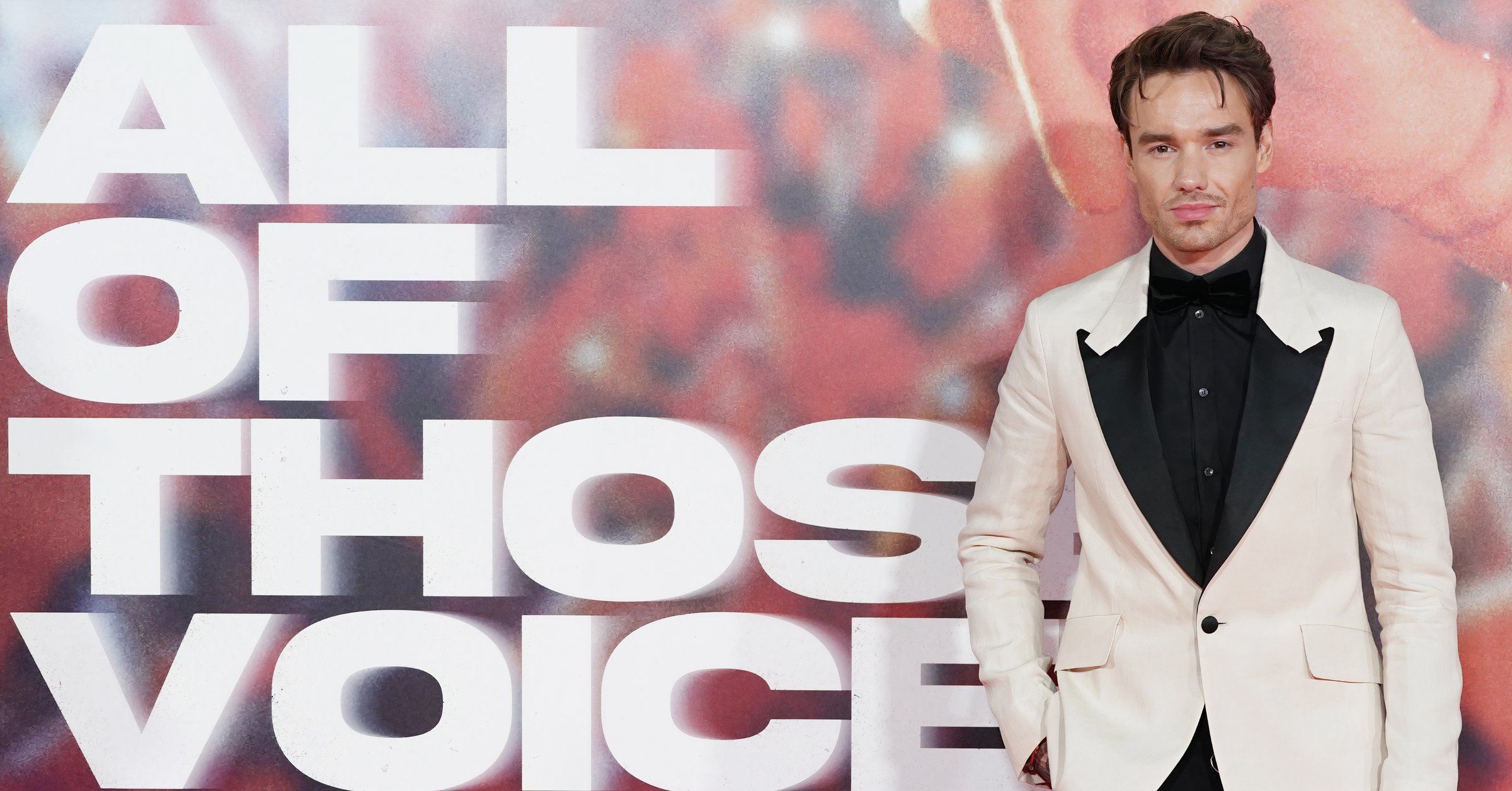 Liam Payne | TheThings