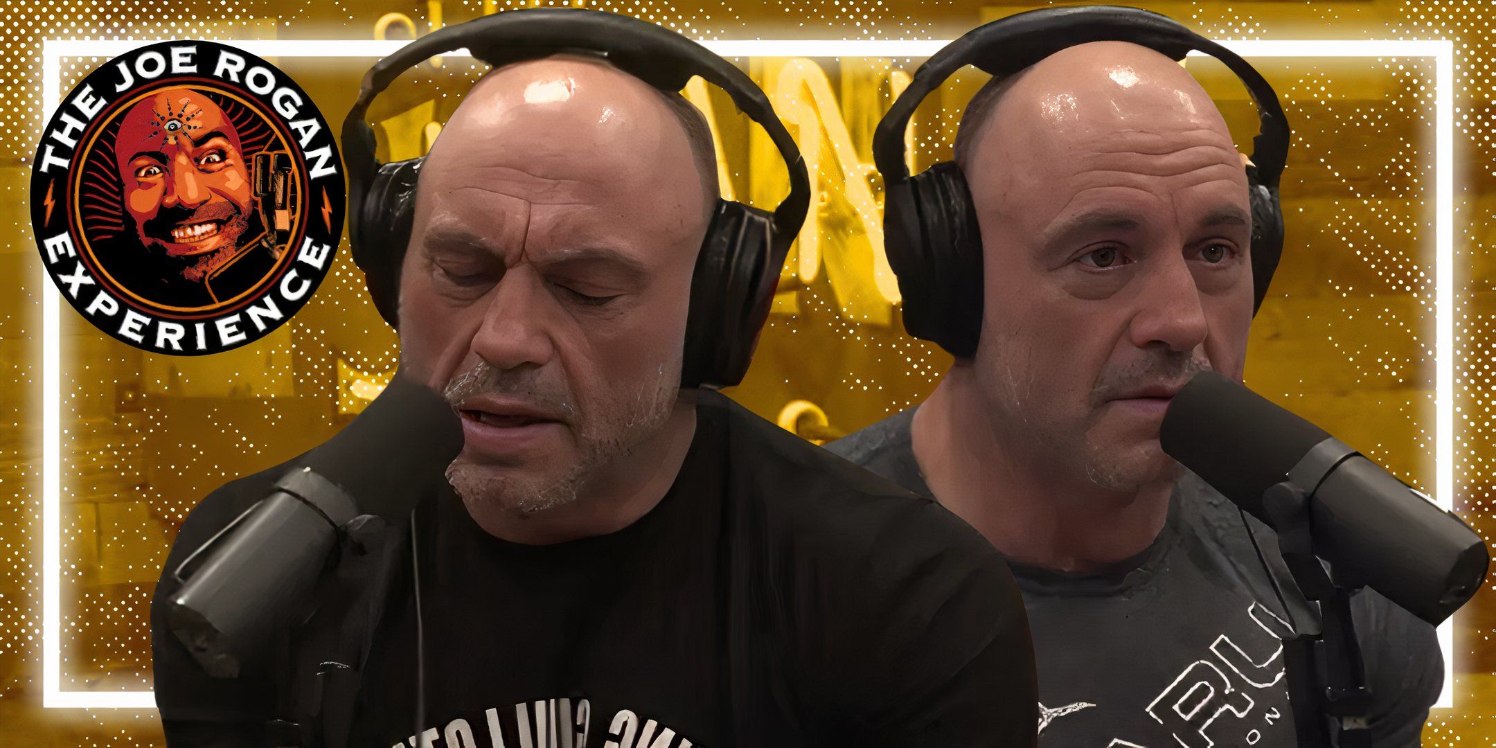 Joe Rogan