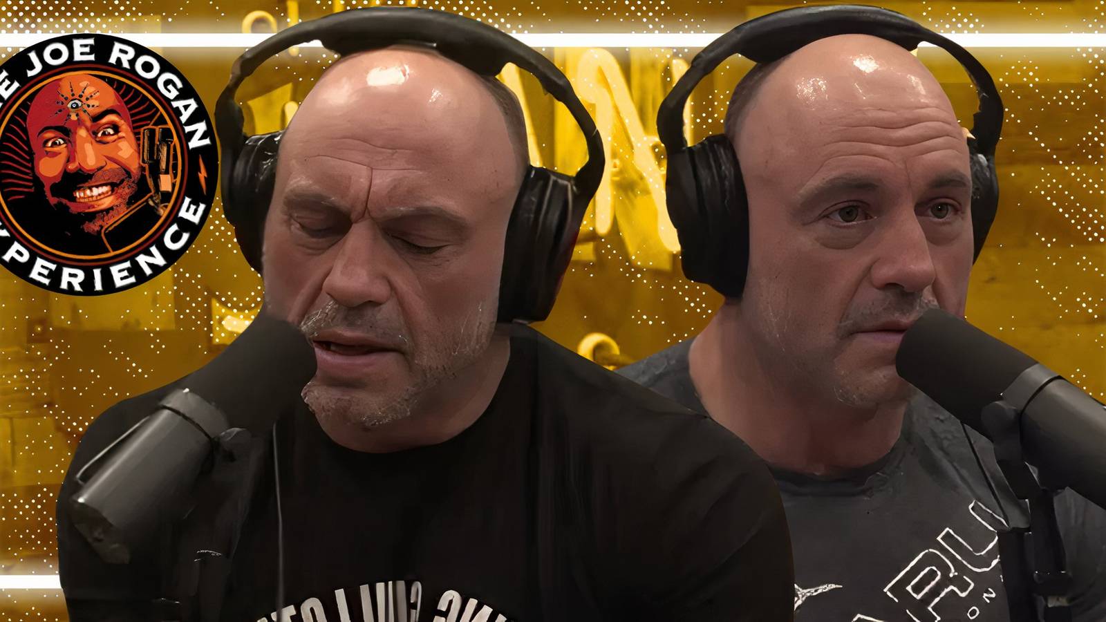 Joe Rogan Had Fans Wondering If He Is 'Insincere'