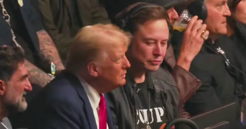 A Timeline Of Donald Trump And Elon Musk's Bromance