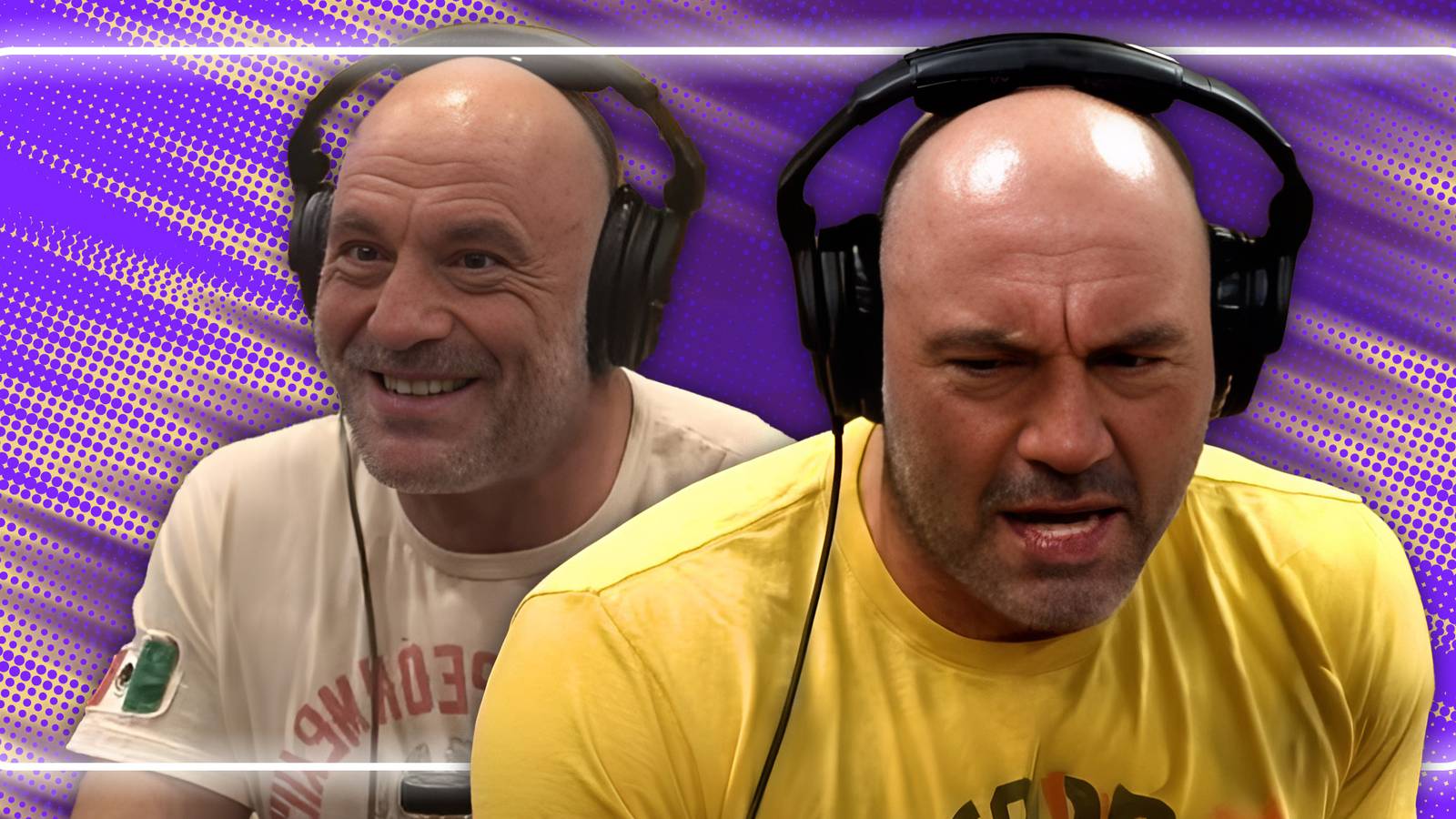 Joe Rogan Was Really Disappointed His Fight Against A Hollywood Legend ...