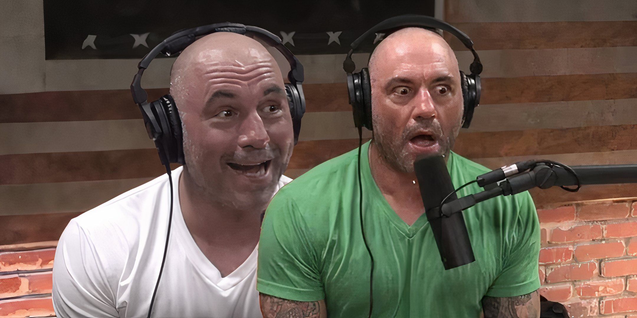 Joe Rogan Was Called Out For Accepting ‘Hateful’ Talk By A Successful Comedian 
